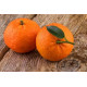Mandarin Oranges